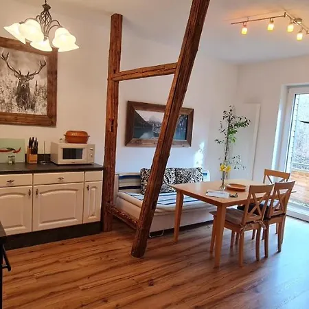 Gaestehaus Hirschstein - Hochwertige Ferienwohnung In Sehr Ruhiger Lage Direkt Am Fluss Goeltzsch Reichenbach im Vogtland Exterior foto