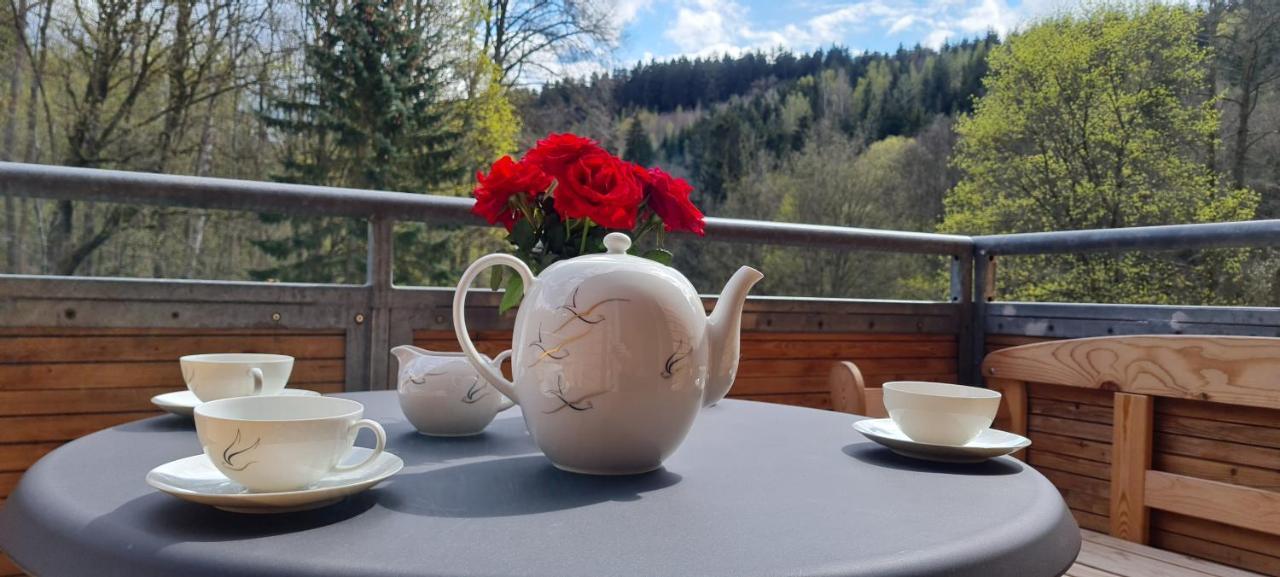 Gaestehaus Hirschstein - Hochwertige In Sehr Ruhiger Lage Direkt Am Fluss Goeltzsch Apartment